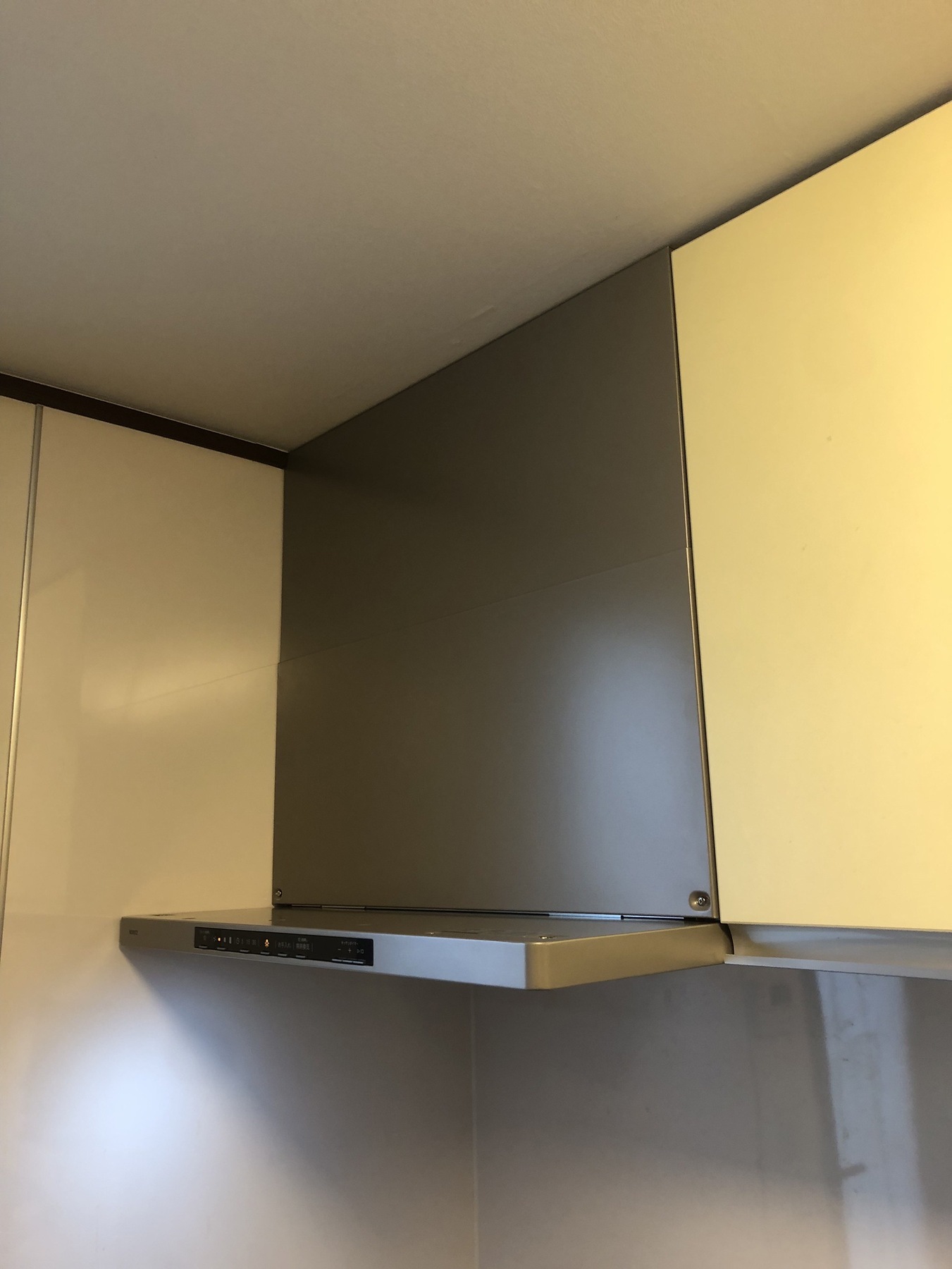 ノーリツ クララ 75㎝の写真